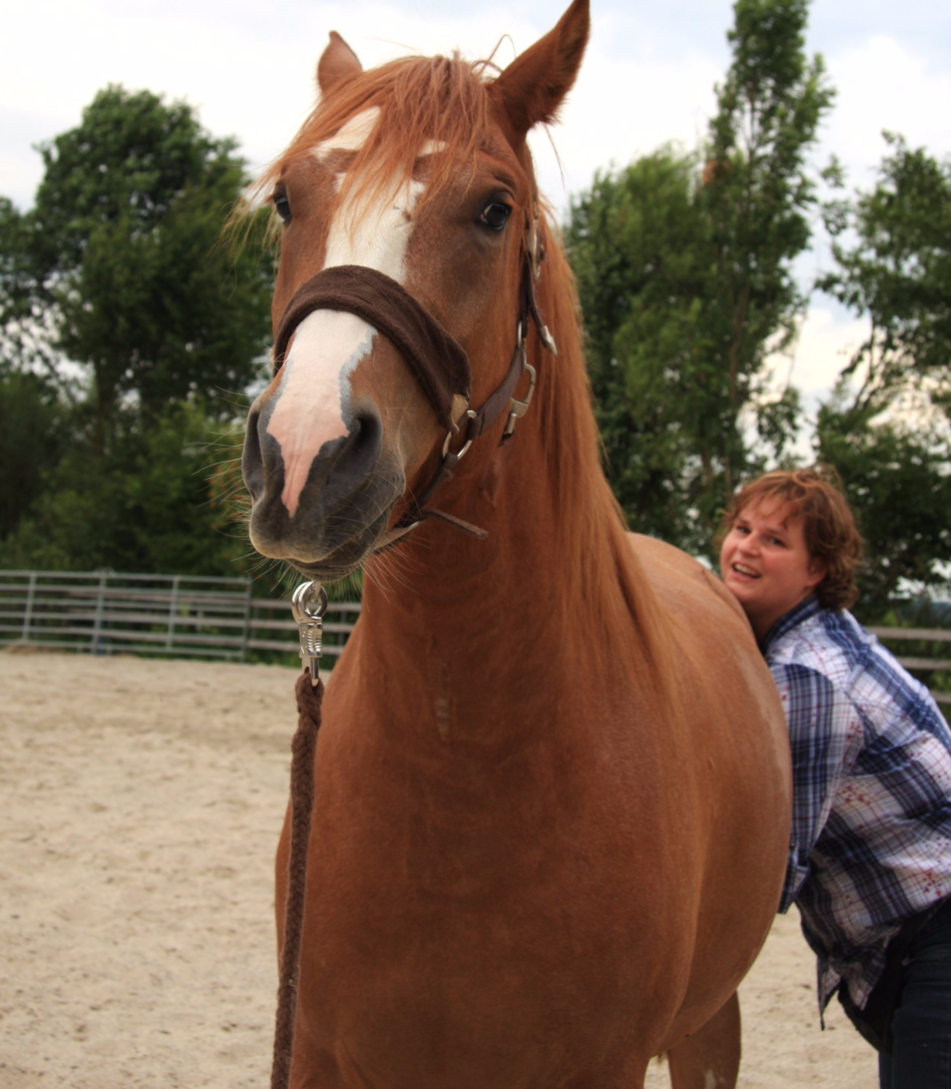 Faszienlösung am Pferd, Lösung bei Steifigkeit in der Hinterhand Pferdeosteopathie, Verena Berthold, Faszien lösen, Pferdeheilung, Hund und Pferd lieben Osteopathie, unterwegs in Oberbayern, Niederbayern und Teilen von Österreich