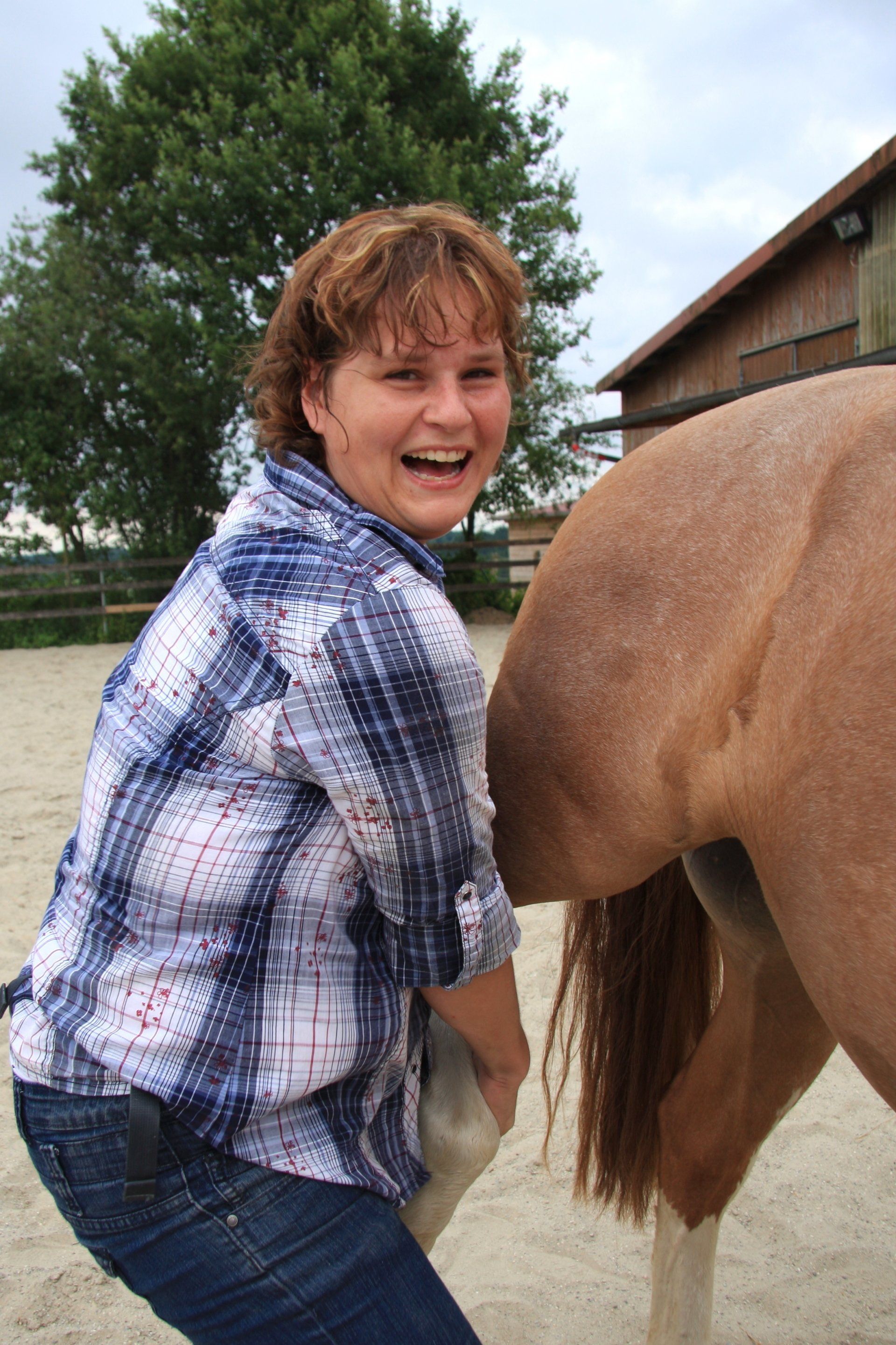 Hinterhand wieder gängig machen, Pferdeosteopathie Verena Berthold, Bayern , Landkreise Mühldorf, Altötting, Erding, Ebersbert, Rottal-Inn, Traunstein Rosenheim,Dingolfing, München und in Teilen von Österreich