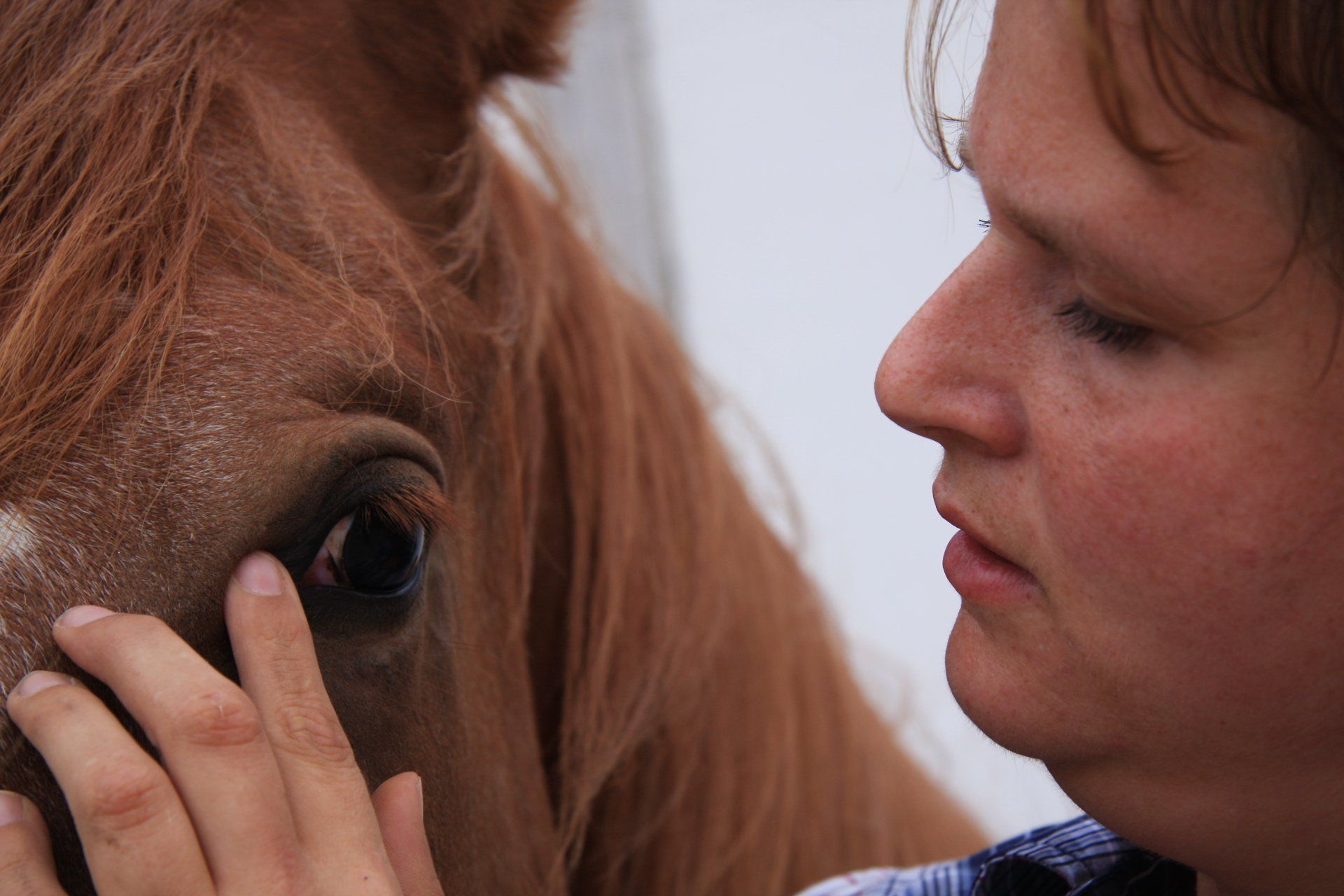 Andauerndes Tränen und auch andere Probleme wie auch Zahnblockaden können positiv beeinflusst werden, über Cranio-Sacral, Osteopathie und Energetik. Auch schon lang bestehe Problematik und Schmerzen und Psychosen können vergehen, Hund und Pferd lieben Osteopathie in Bayern in der Nähe von Mühldorf und Altötting in Oberbayern, Niederbayern und Teilen von Österreich unterwegs