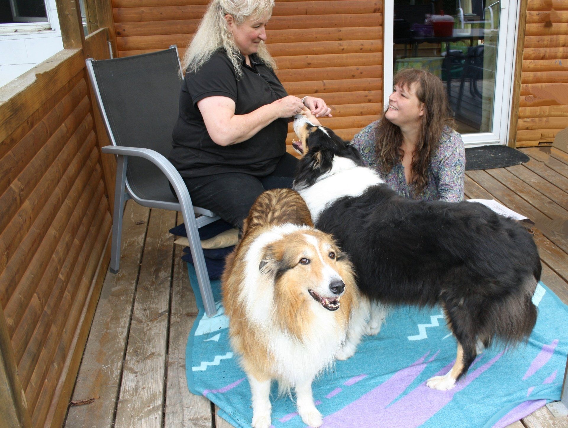 Pferdeosteopathie und Hundeosteopathie Verena Berthold unterwegs in Oberbayern, Niederbayern und Teilen von Österreich