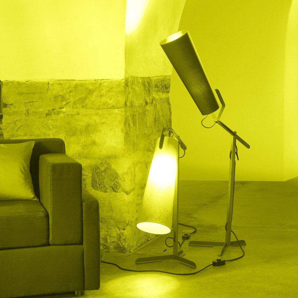 CARBONE & VUDAFIERI cellula