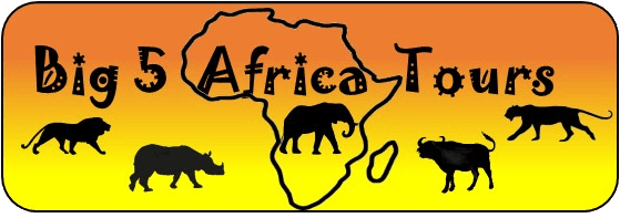 big 5 africa tours