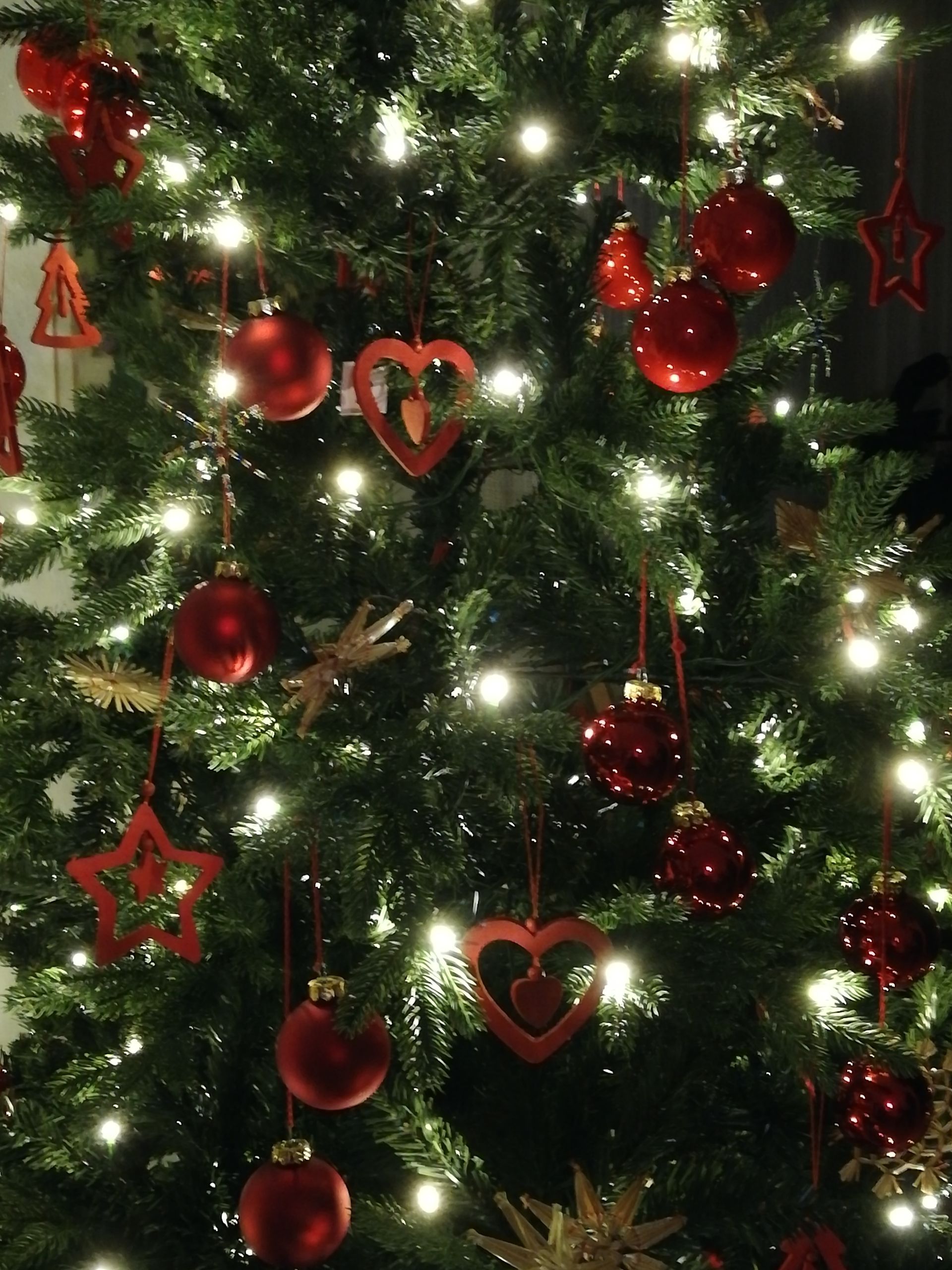Unser Pflegeteam wünscht allen ein schönes Weihnachtsfest, besinnliche Feiertage und ein Fest voller Harmonie und Frieden.