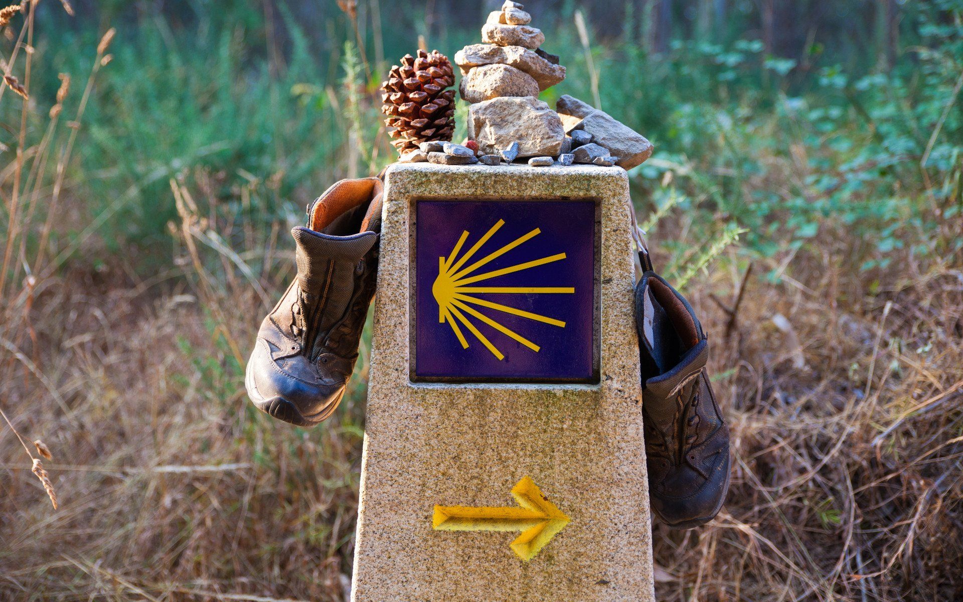 Camino de Santiago