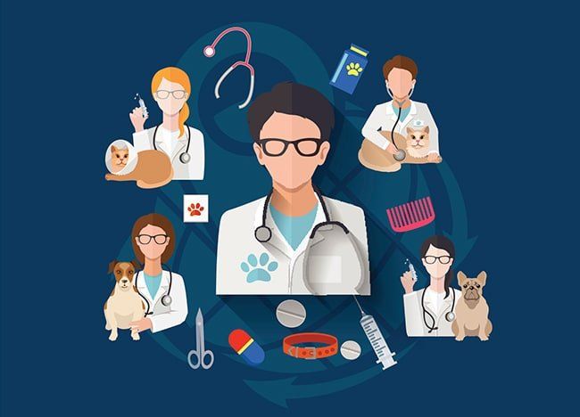Veterinary Practice Financial Performance