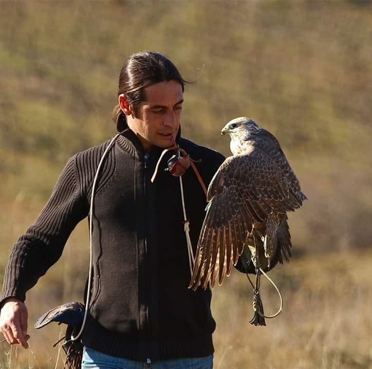 Davy Lacroix fauconnerie Situé à proximité de Lyon, notre élevage de faucons et rapaces en France vous fait découvrir le monde fascinant des oiseaux de proie. Chaque rapace est élevé avec rigueur et respect de son bien-être, pour la fauconnerie, l’effarouchement ou la préservation de l’espèce. Profitez de notre savoir-faire unique et de notre passion pour la fauconnerie, et observez de près le comportement et l’éducation de ces majestueux oiseaux dans un cadre sécurisé et naturel.