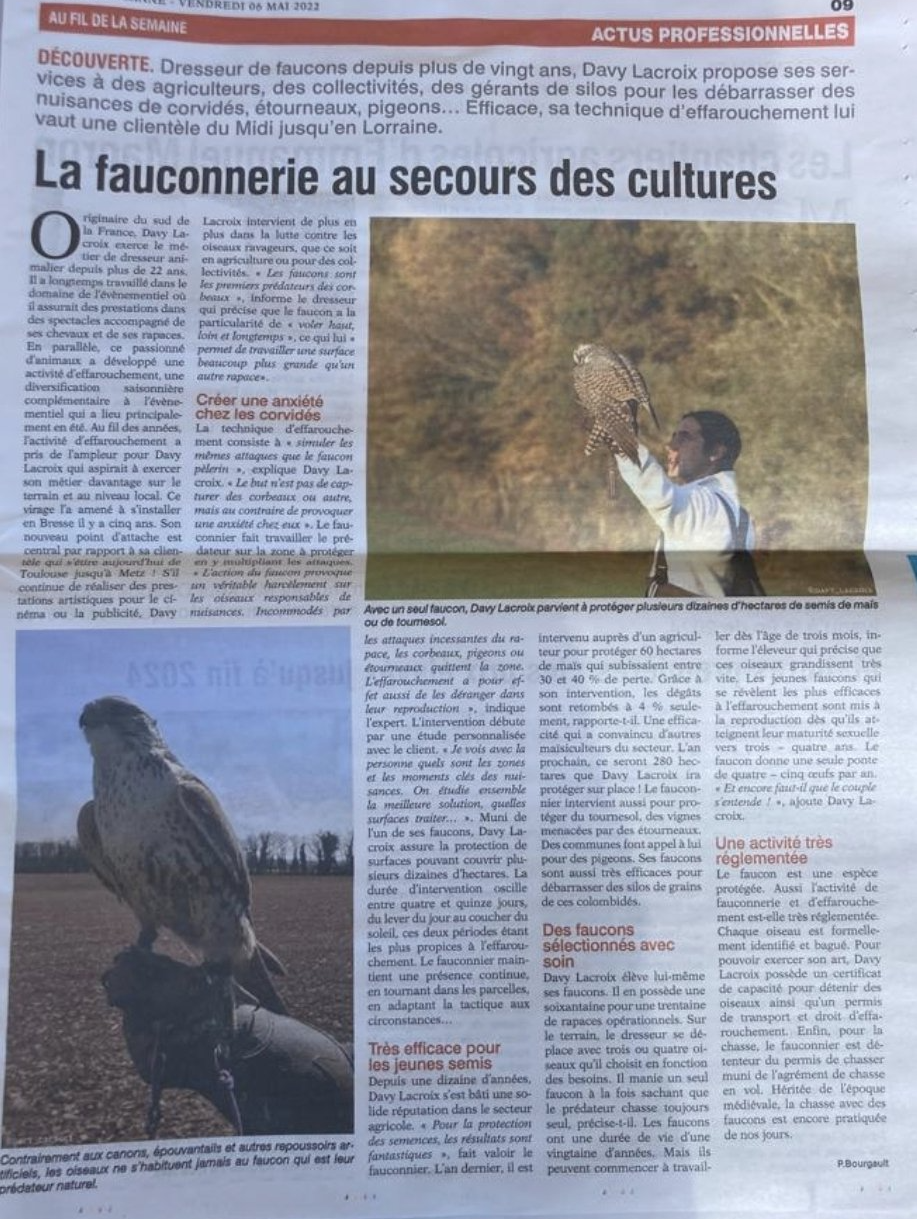 effarouchement corvidé protection céréales Fauconnerie Lacroix davy Lyon. Pour protéger efficacement les cultures céréalières, l’effarouchement par des rapaces s’impose comme une solution naturelle, permettant d’éloigner les oiseaux et nuisibles tout en respectant l’environnement.