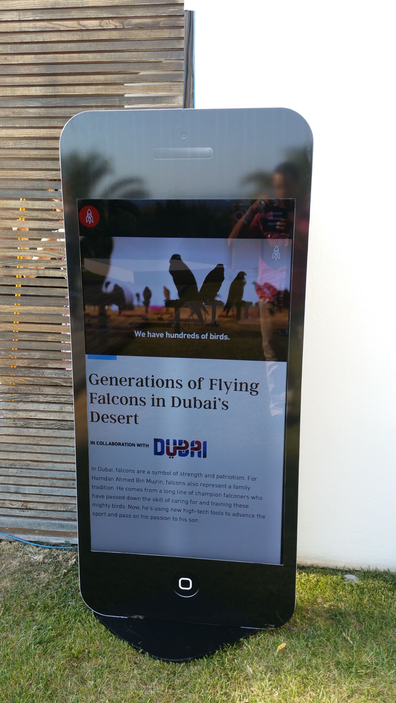 racing-falcon Davy Lacroix À travers notre élevage de faucons et de rapaces en France, nous transmettons notre savoir-faire unique, en élevant ces oiseaux majestueux dans le respect de leur nature et pour le plaisir de tous les passionnés de fauconnerie.