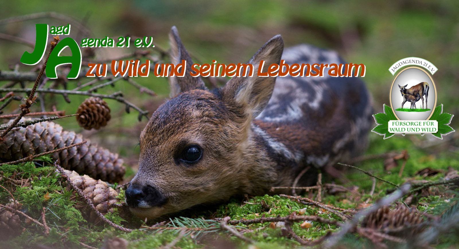 JA zu Wild und seinem Lebensraum