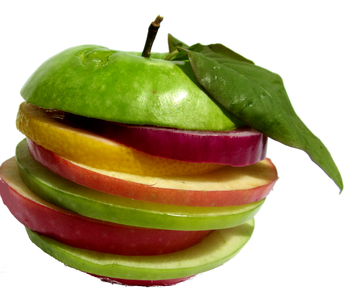 Naturheilpraxis Sylvia Hagenhofer Schwermetalldiagnostik Heilpraktikerin