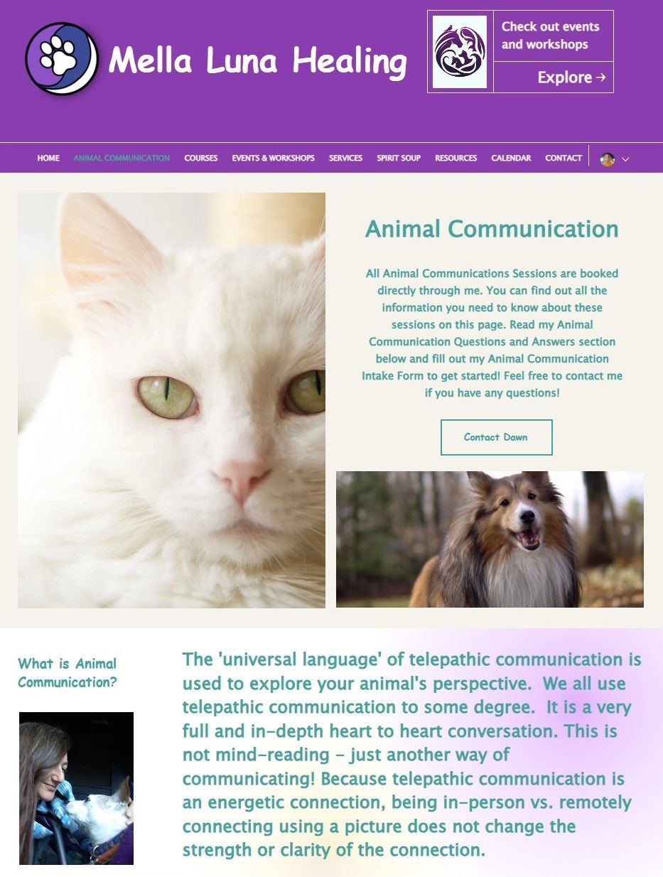 farmer girl web design mella luna healing website ecommerce farmer girl web design mella luna healing website ecommerce