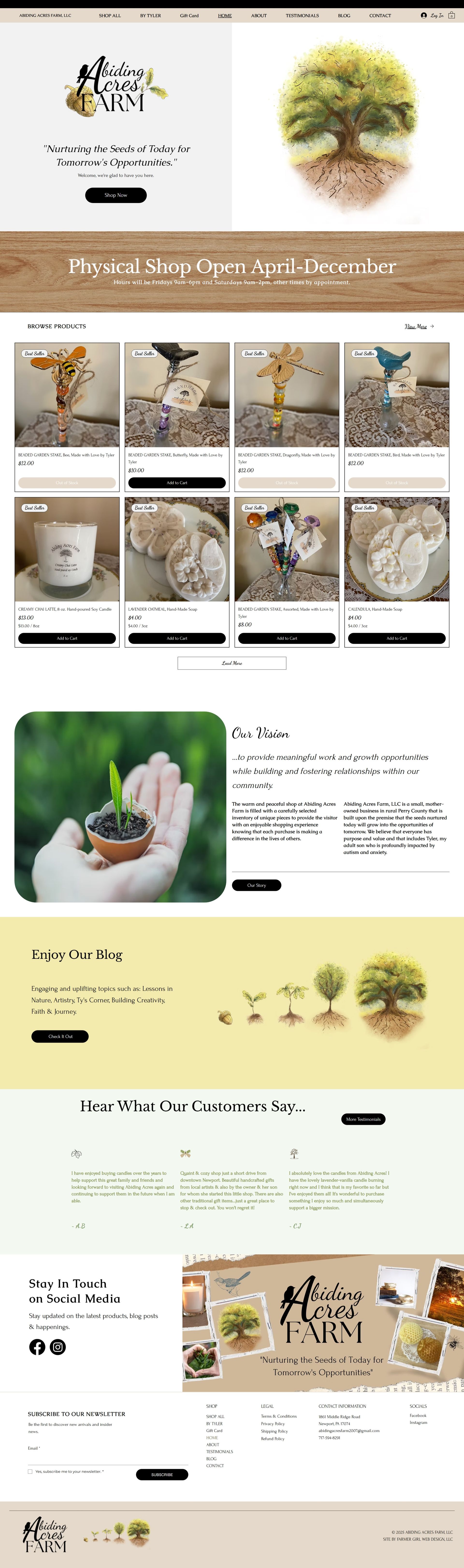 website preview