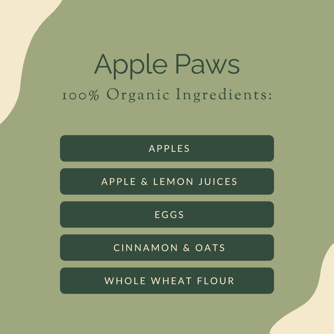 farmer girl web design portfolio social media content creation