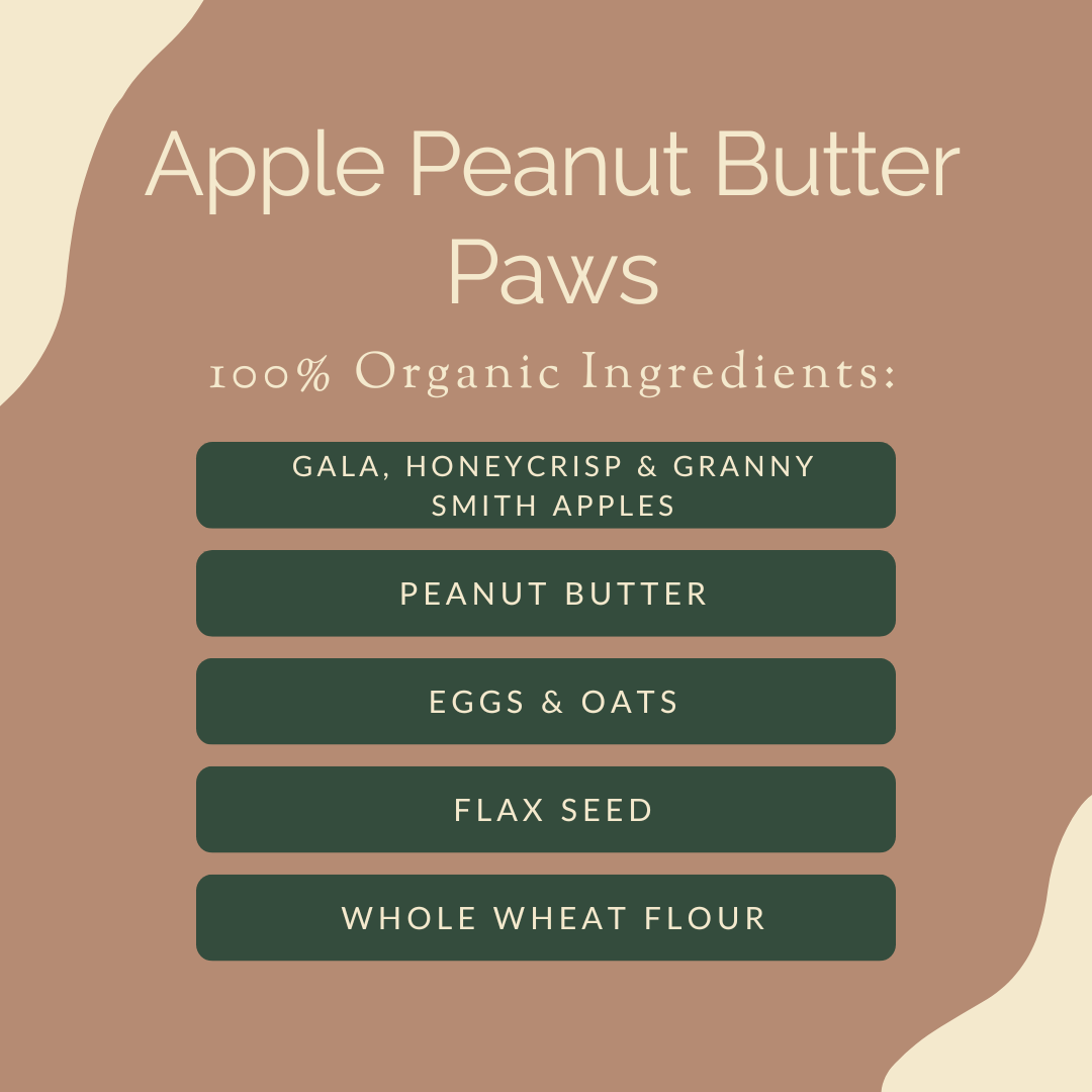 farmer girl web design portfolio social media content creation