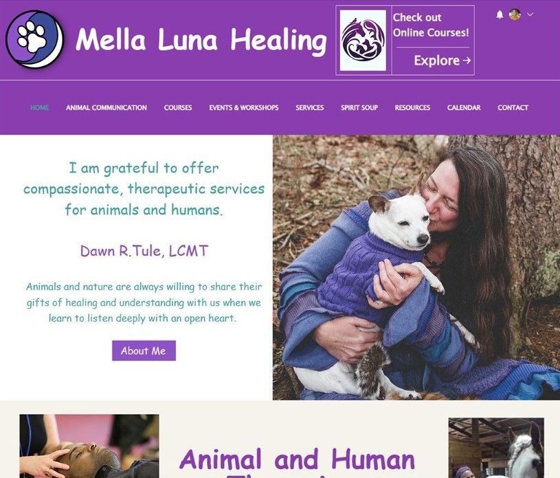 farmer girl web design mella luna healing website ecommerce