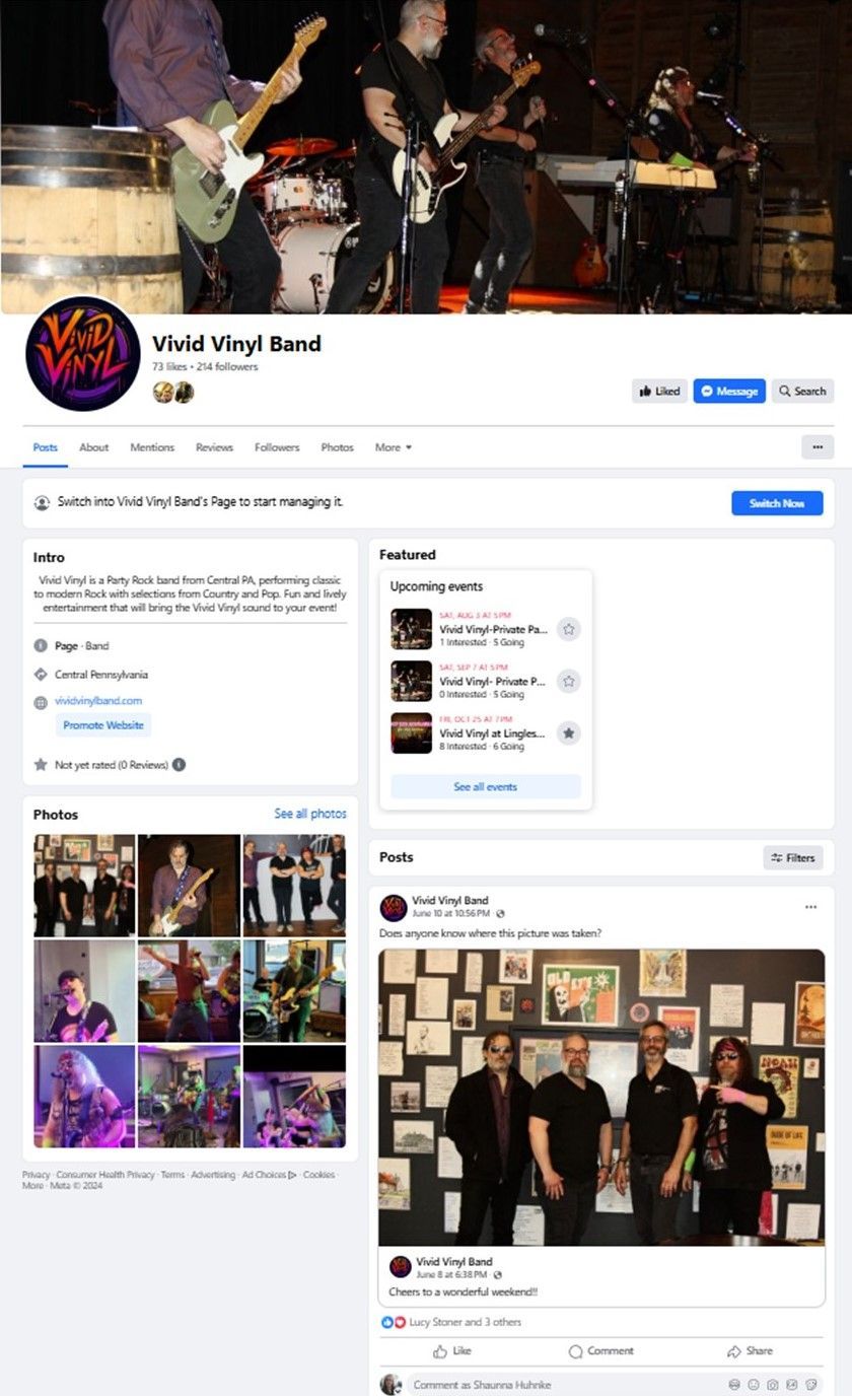 vivid vinyl band facebook page deign farmer girl web design