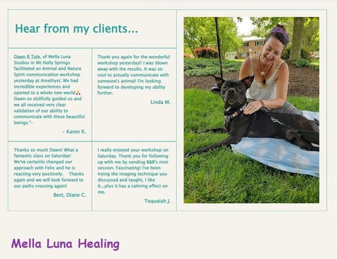 farmer girl web design portfolio mella luna healing