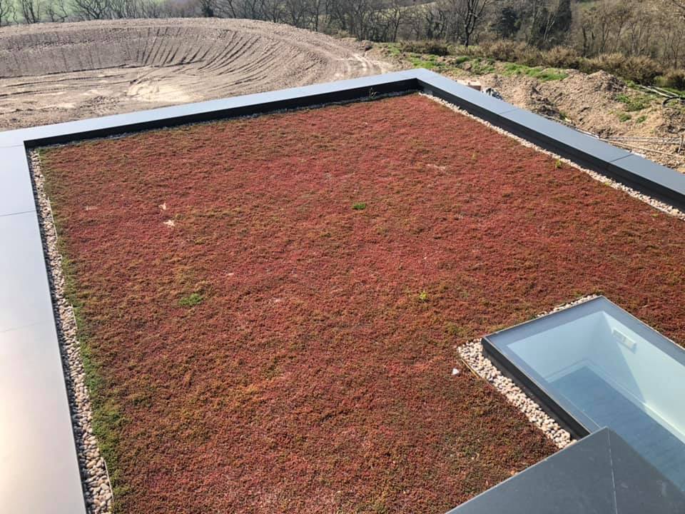 Flat roofing company with trusted reputation in Torbay
