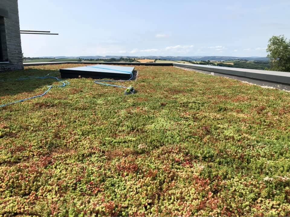 Professional flat roof replacement in South Hams using premium materials