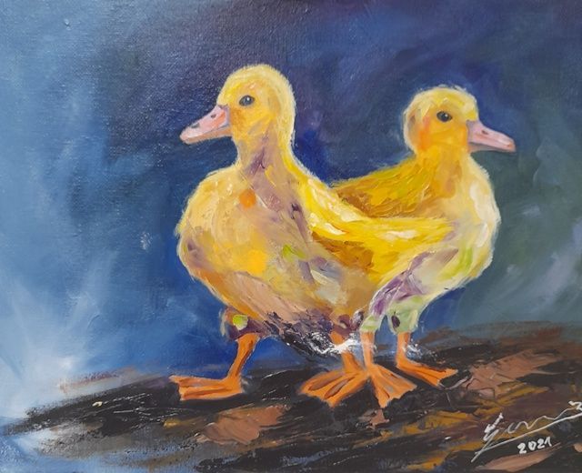 Tierbild Entenküken