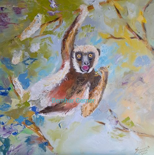 Lamure Affenbild