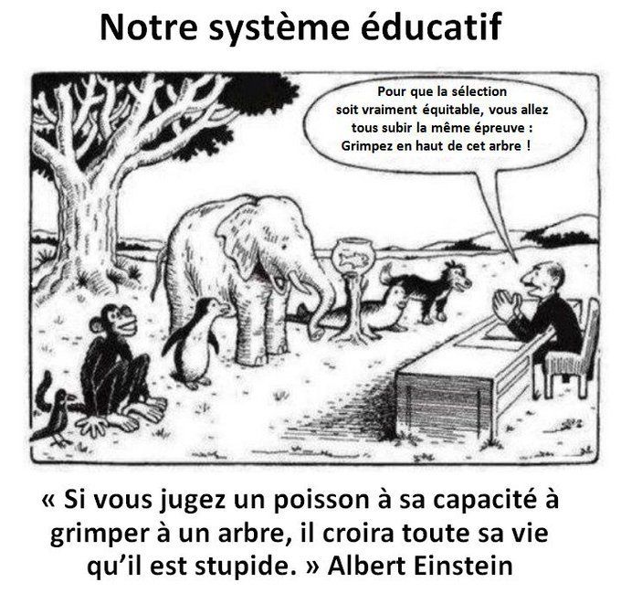 comment les enfants apprennent Comment les enfants apprennent