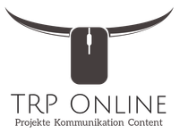 Timo Reischl Proejekte Talent Rewards