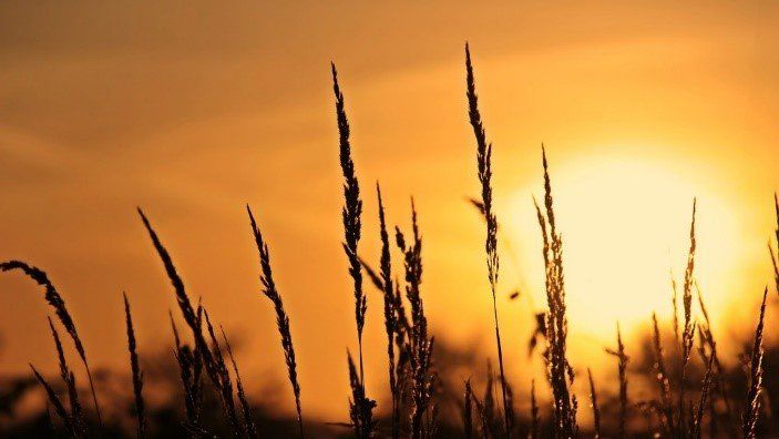 Foto: pixabay