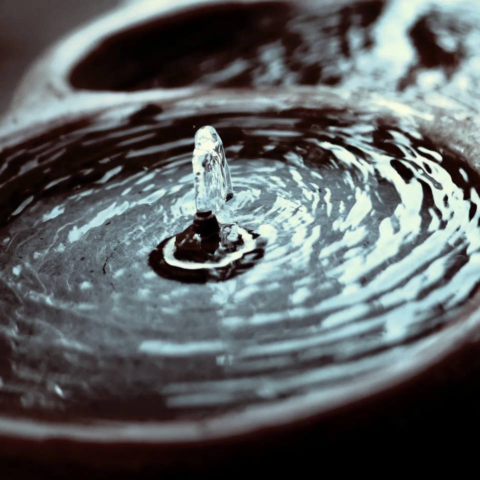 Bild: Helene Souza | pixelio.de Bild: Helene Souza | pixelio.de