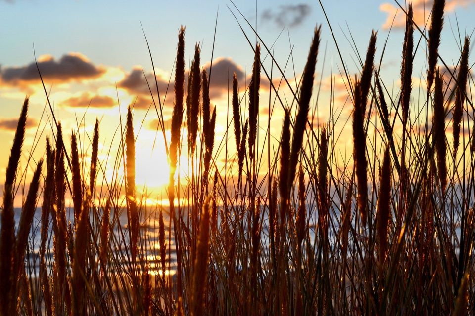 Bild: Andreas Hermsdorf | pixelio.de