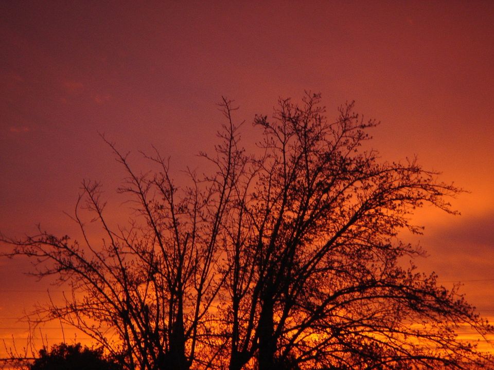 Bild: Susanne Dufek | pixelio.de Bild: Susanne Dufek | pixelio.de