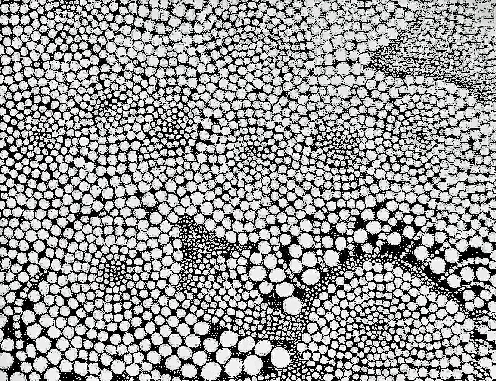 Galerie Hans Peter Wühler Dotpainting 10 Tusche auf Leinwand hpw 2008 ca. 50 x 40 cm Original: 85,00 € (sold) Replikatdruck auf Leinwand 40 x 30 cm: 60,00 € Bild-Nr.: 01-010