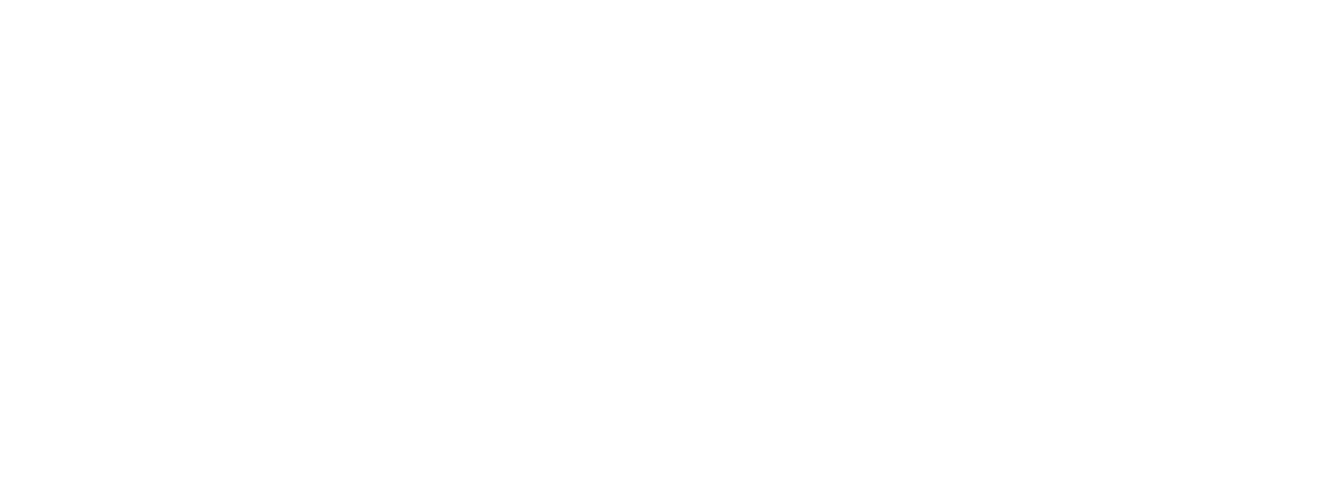 Bourne Self Store Logo