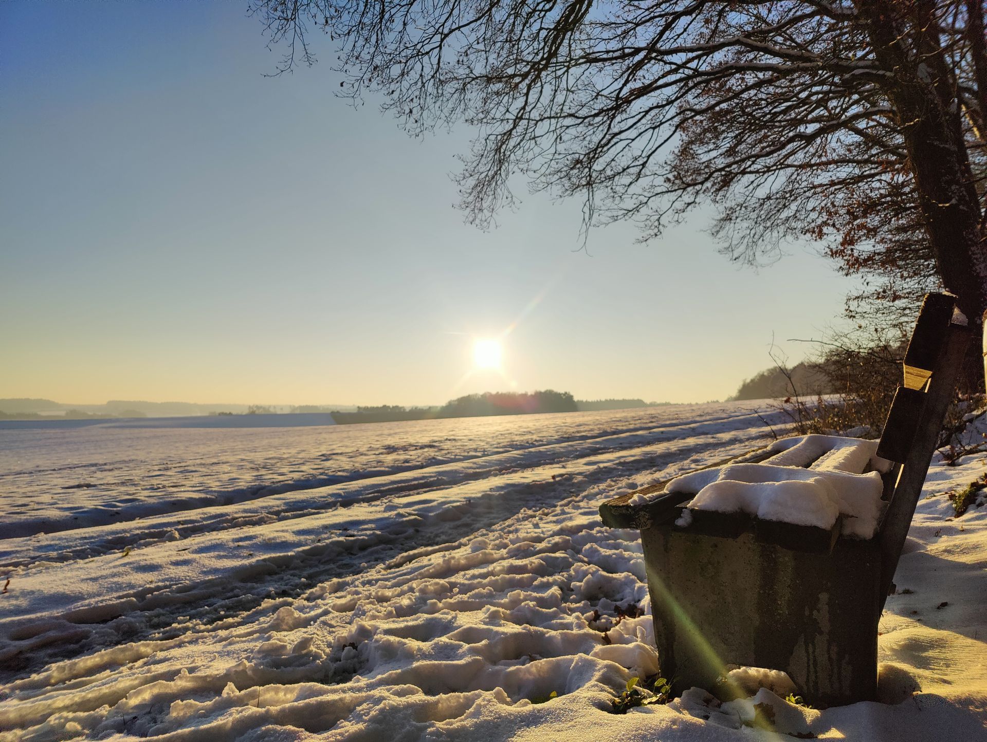 winterilches Bild: Holzbank vor tiefstehender Sonne