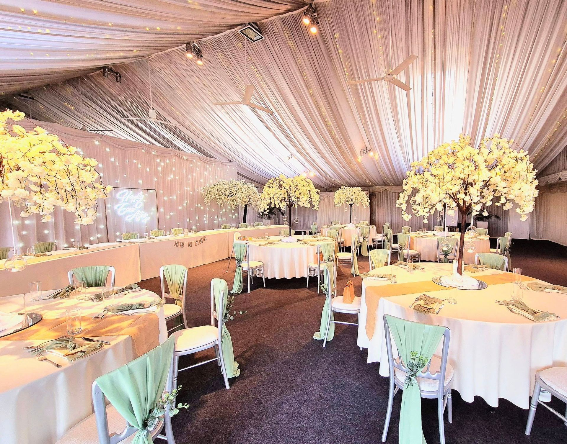 Beautiful wedding blossom trees for wedding reception.