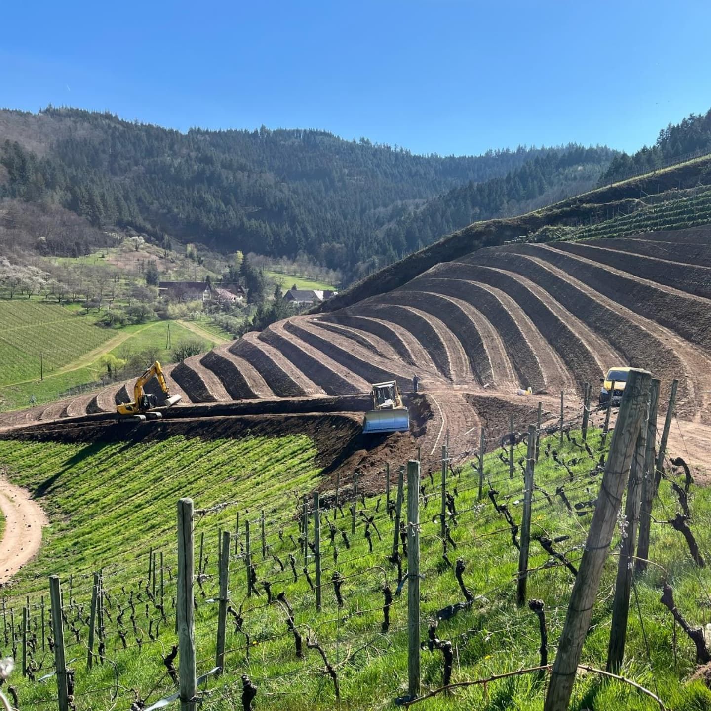 Rebterrassierung Durbach
