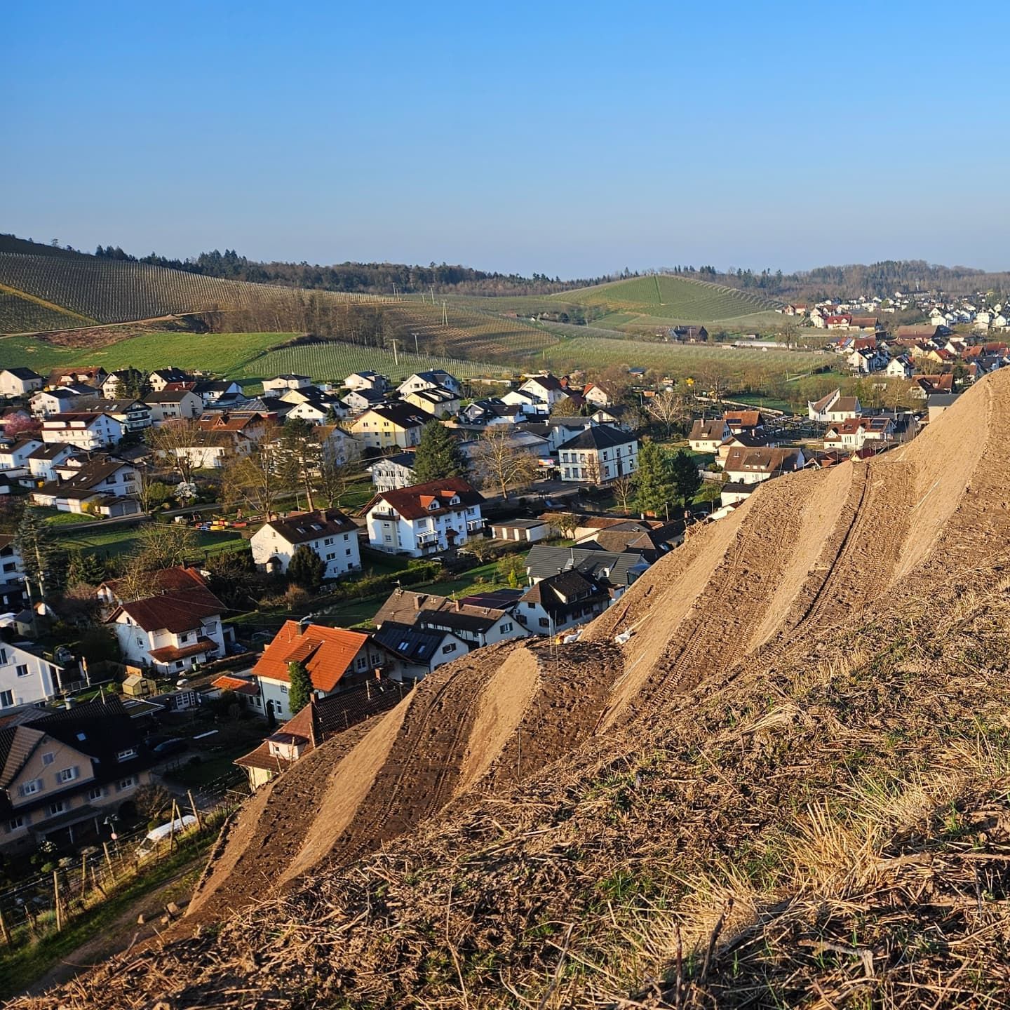 Rebterrassierung Durbach Steinberg