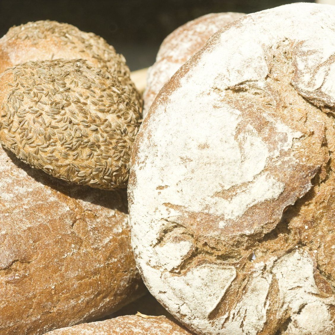 le pain de loustal pain multicereales noix et campagne