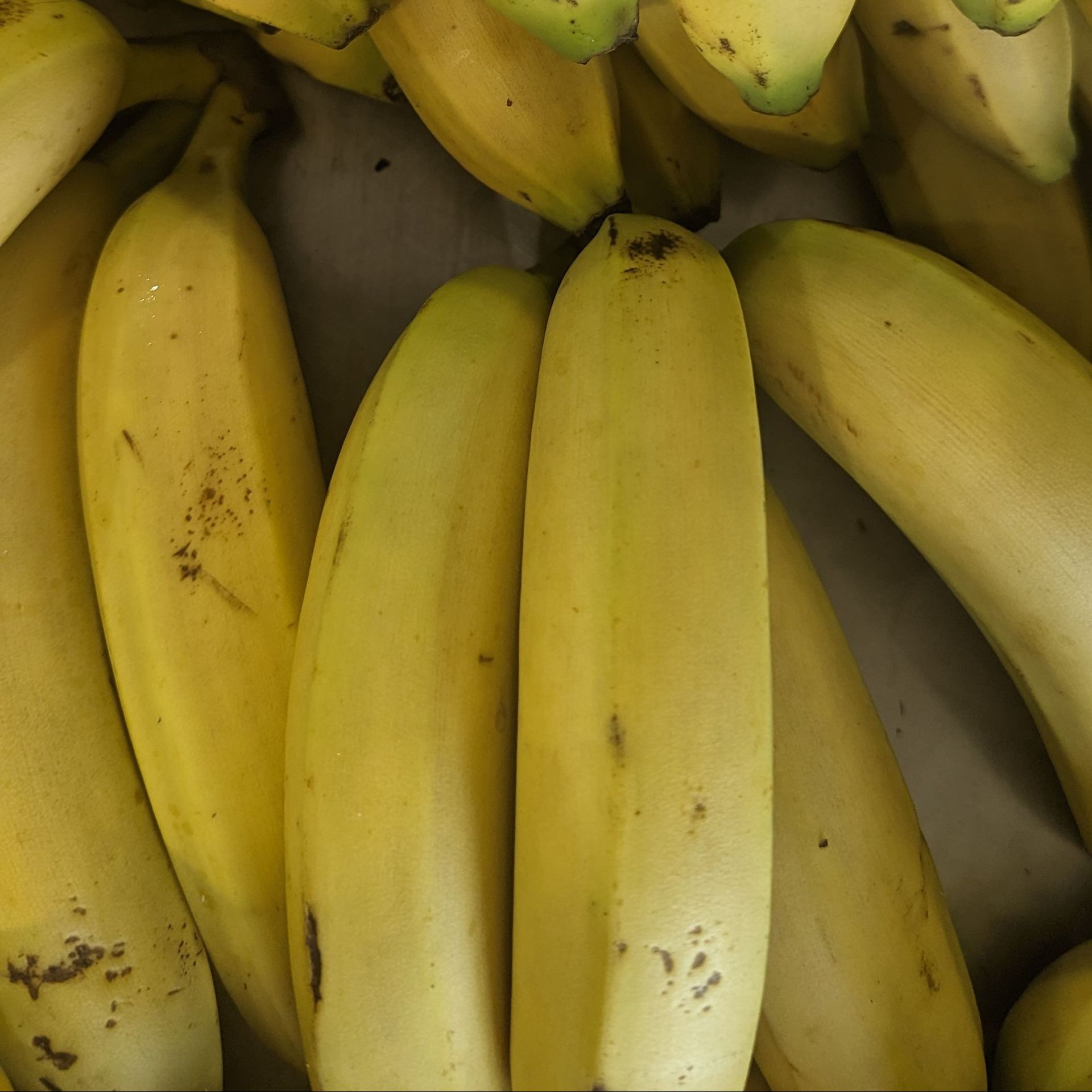 banane bio