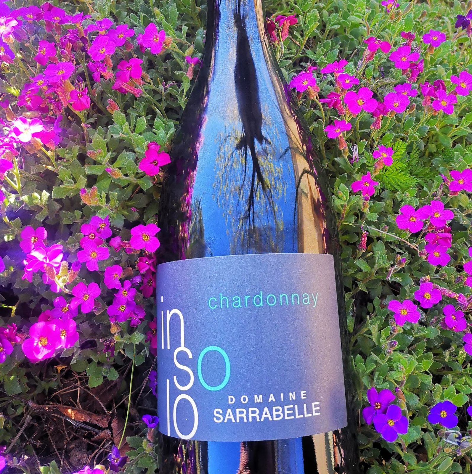 domaine sarrabelle vins et effervescents