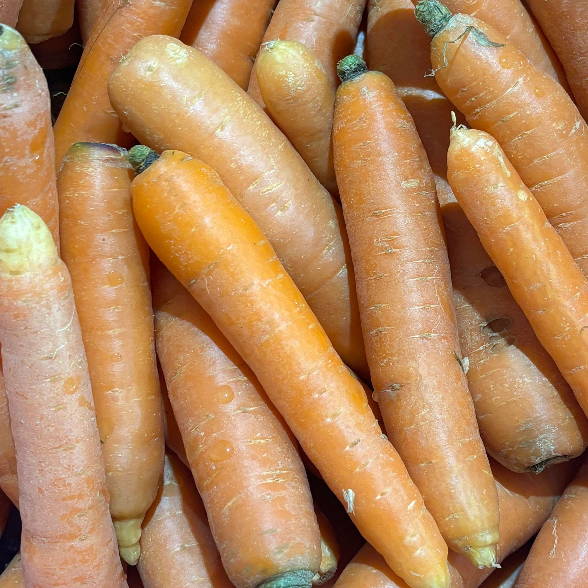 earl de napagese bio citrouilles potimarron butternut pomme de terre