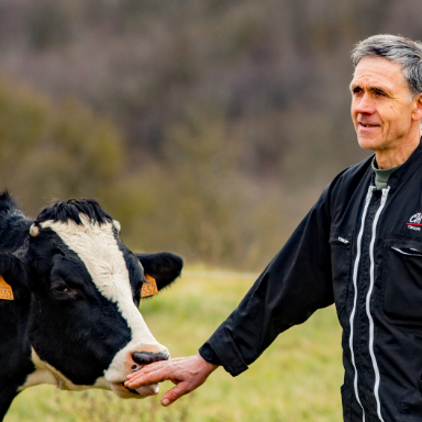 ferme de prouzic yaourts aromes beurre