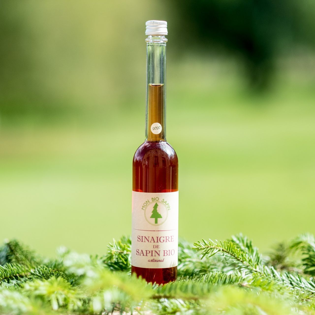 gie graine dautan huile de cameline et huile de lin