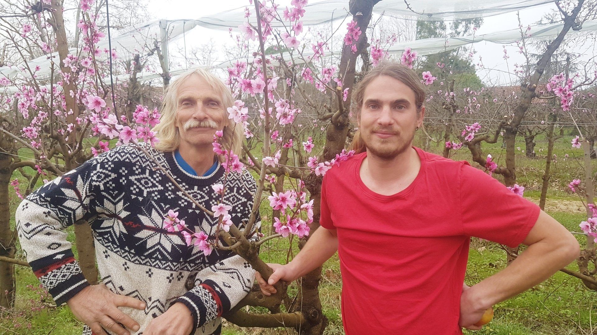 entreprise familiale en savoir plus sur le verger de candie