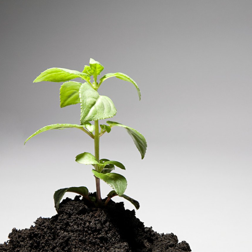 Persönliche Entwicklung Persönliche Entwicklung