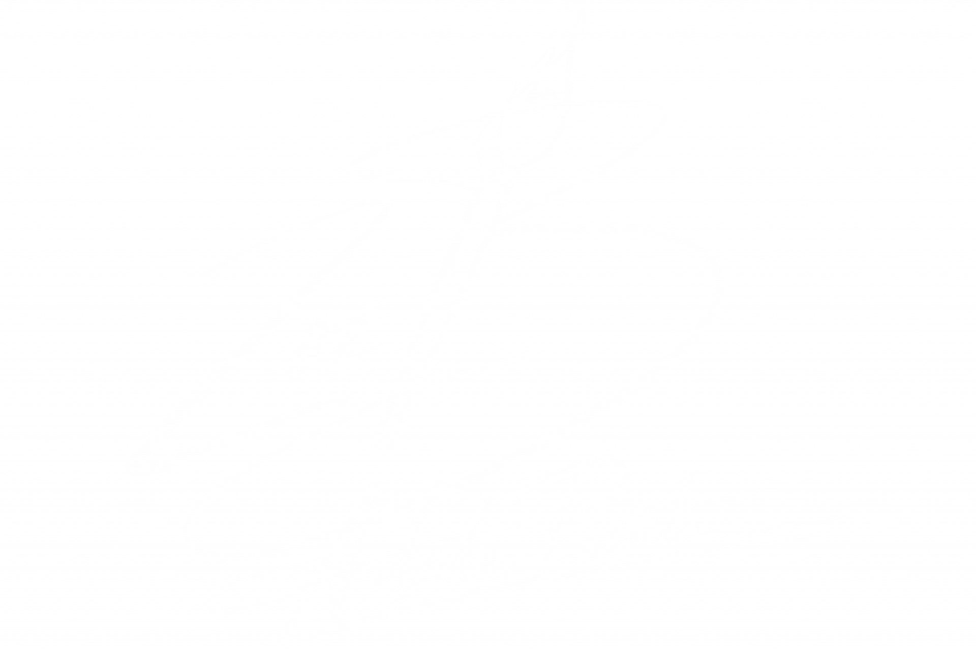 ZOE B-logo ZOE B-logo