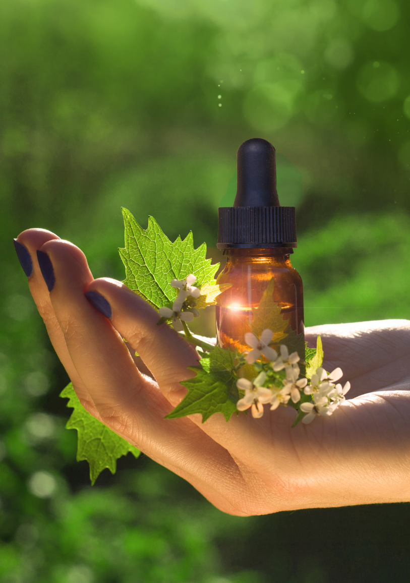 Bachblüten- Öl in offener Hand