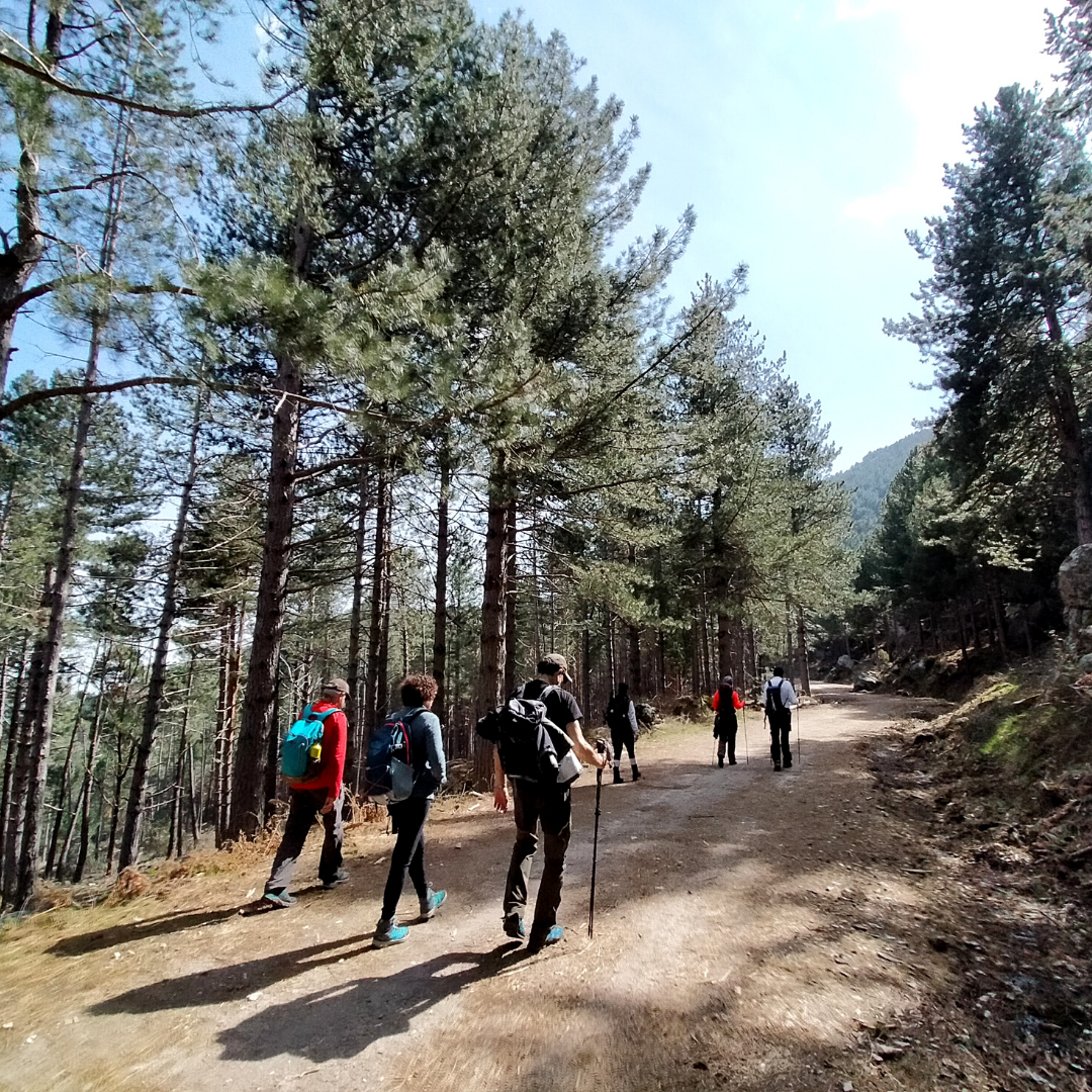 Nivel Bajo - La Pedriza (Comunidad de Madrid) Imagen de nivel bajo - La Pedriza - Live Traveling