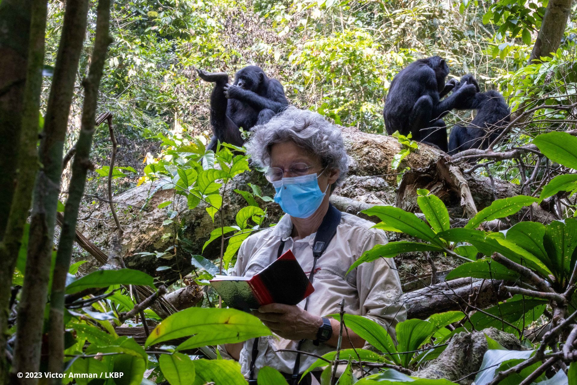 ©2023 alle Rechte vorbehalten| Victor Amman /LKBP