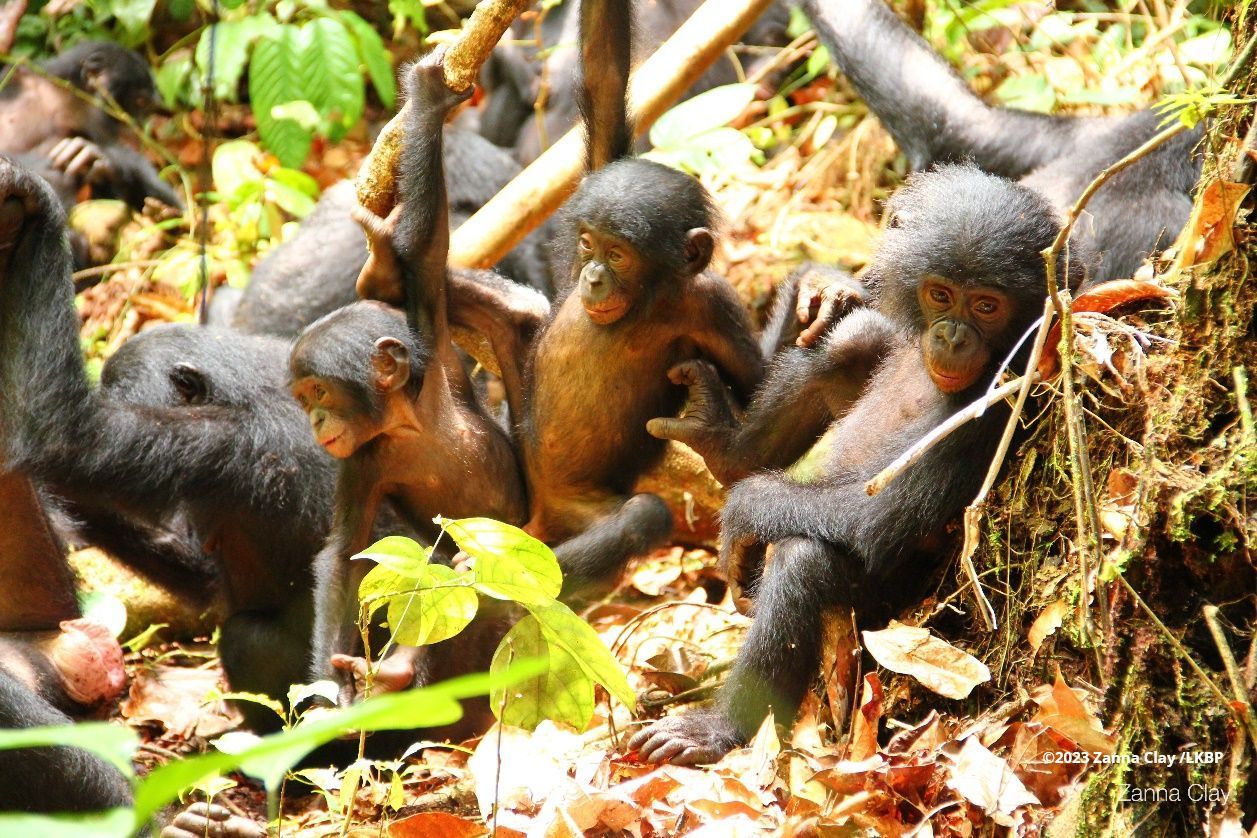 ©2023 alle Rechte vorbehalten | Zanna Clay /LKBP